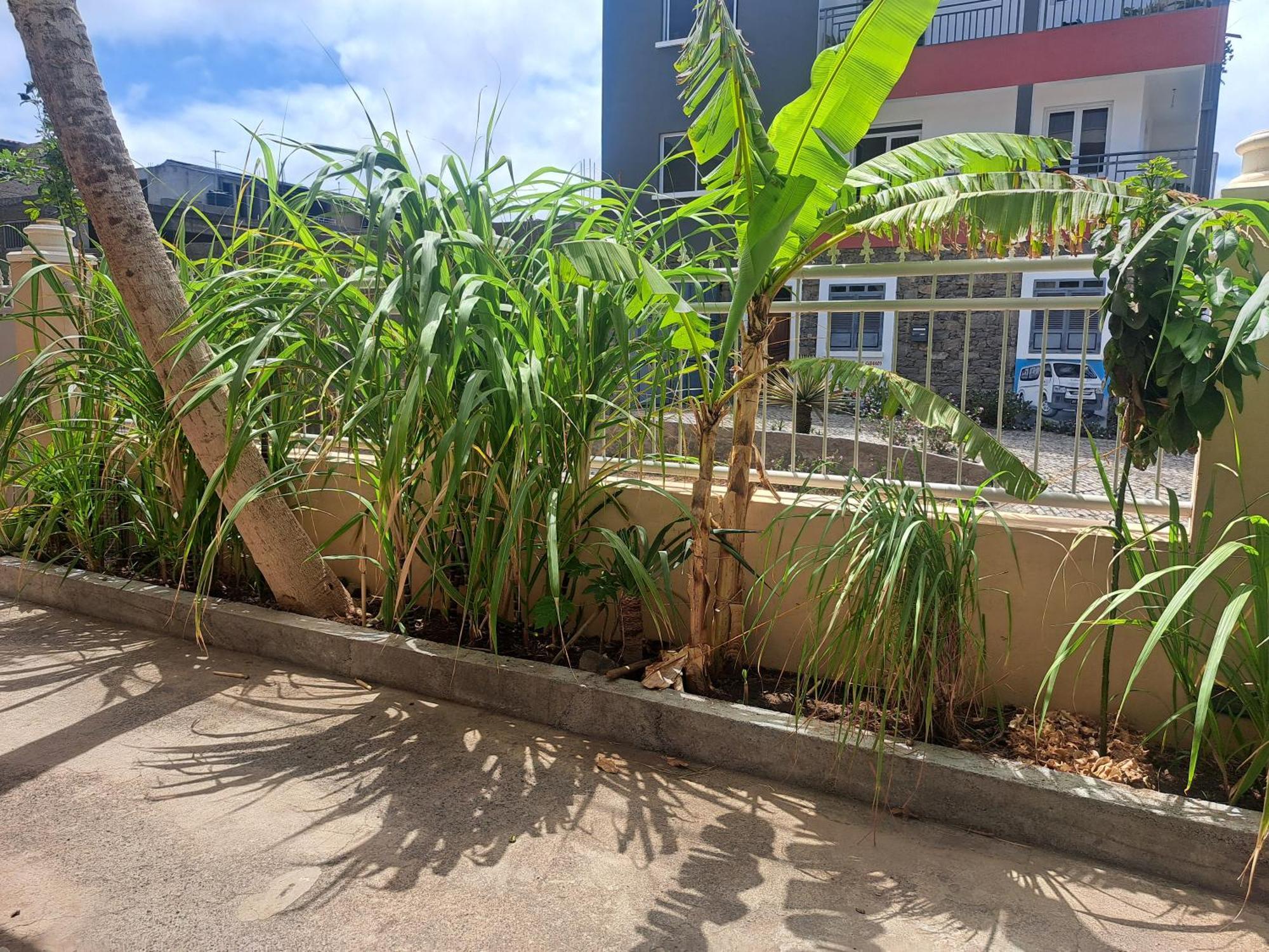 Barros Homestay Tarrafal  Esterno foto