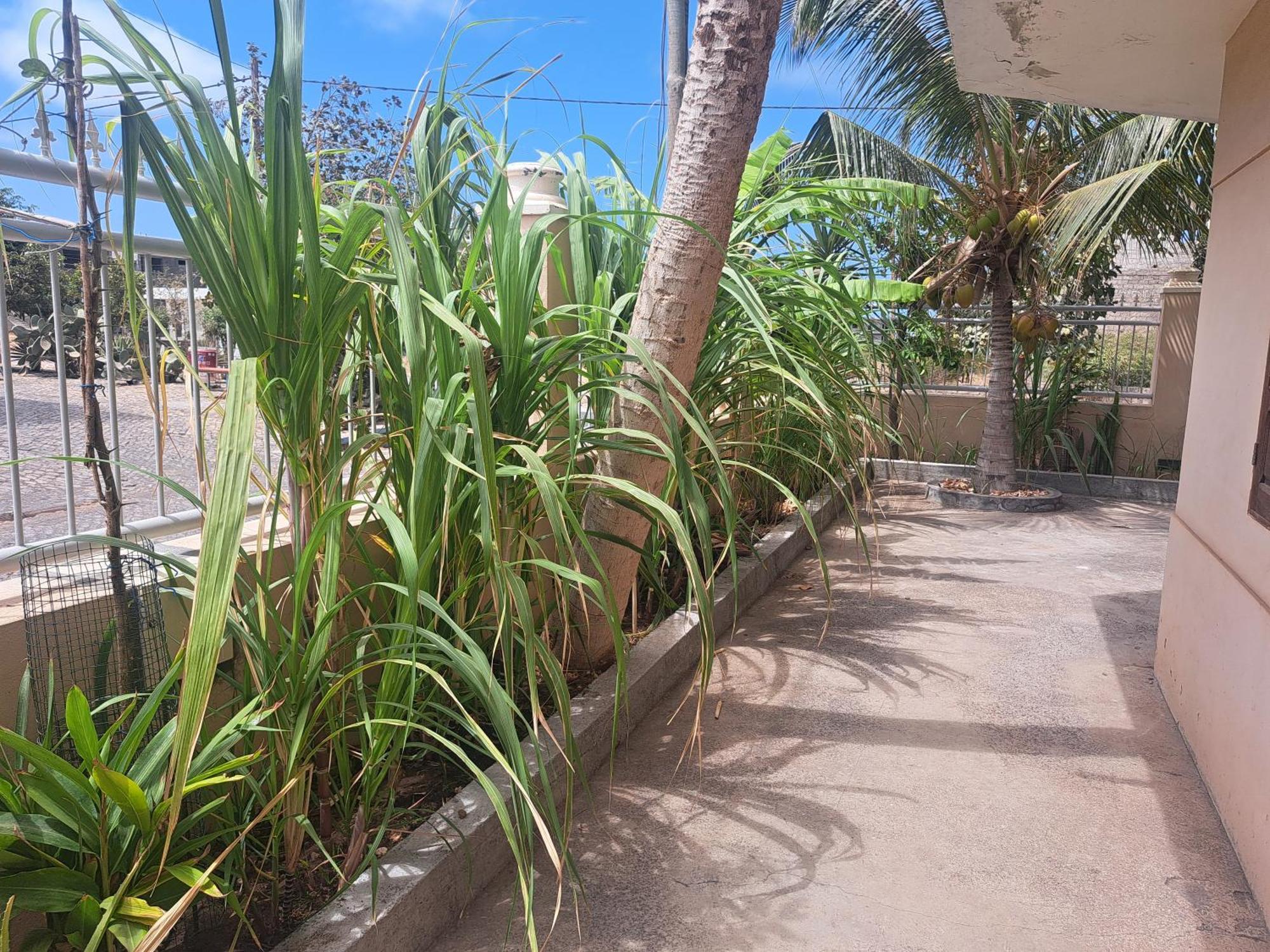 Barros Homestay Tarrafal  Esterno foto